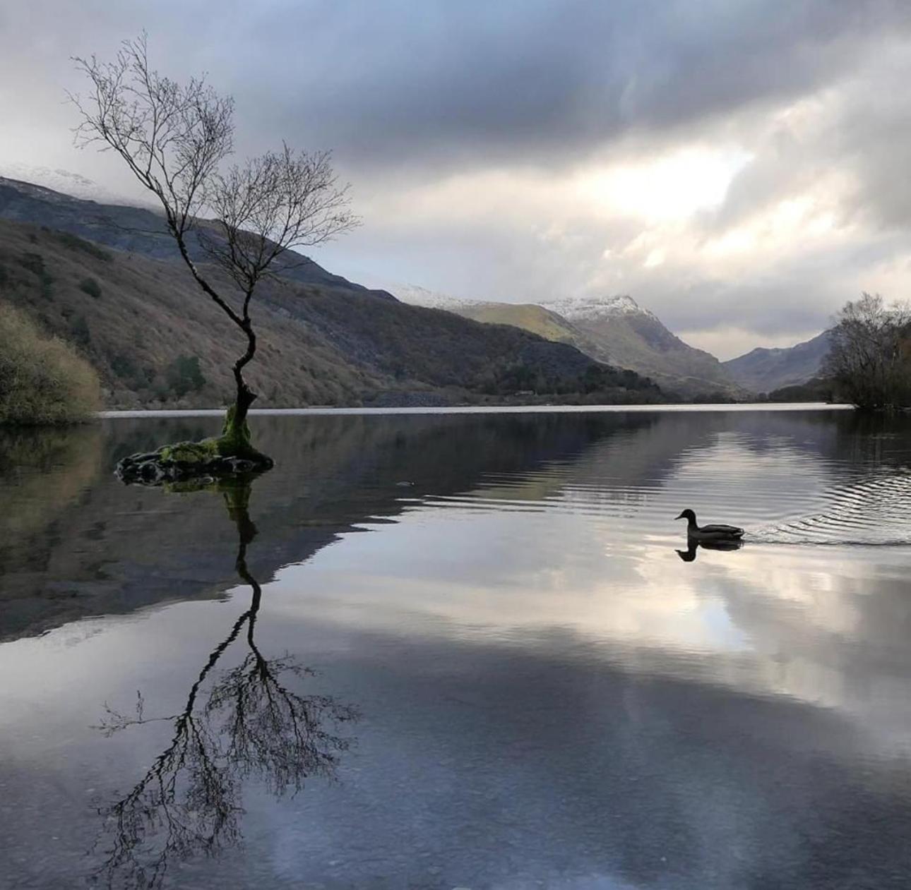 Cosy 2 Bedroom Cottage In Betws Y Coed, Snowdonia Exteriér fotografie